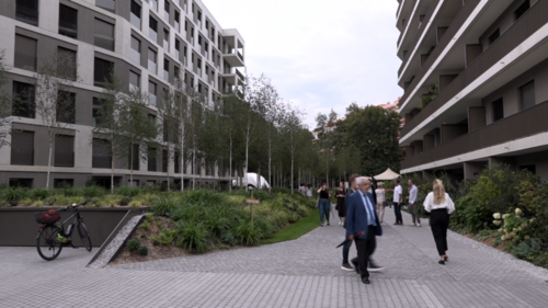 A Frontenex, une forêt au milieu des logements