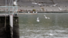rhone