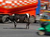 Bataille de bouses de vache pour la fête d'un village indien