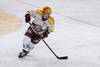 SCHWEIZ EISHOCKEY ZUG SERVETTE