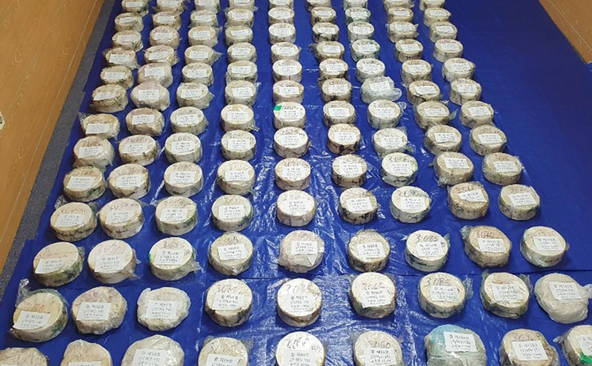 Saisie de 55,6 millions de pilules de méthamphétamine, un record